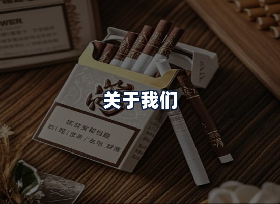 关于我们
